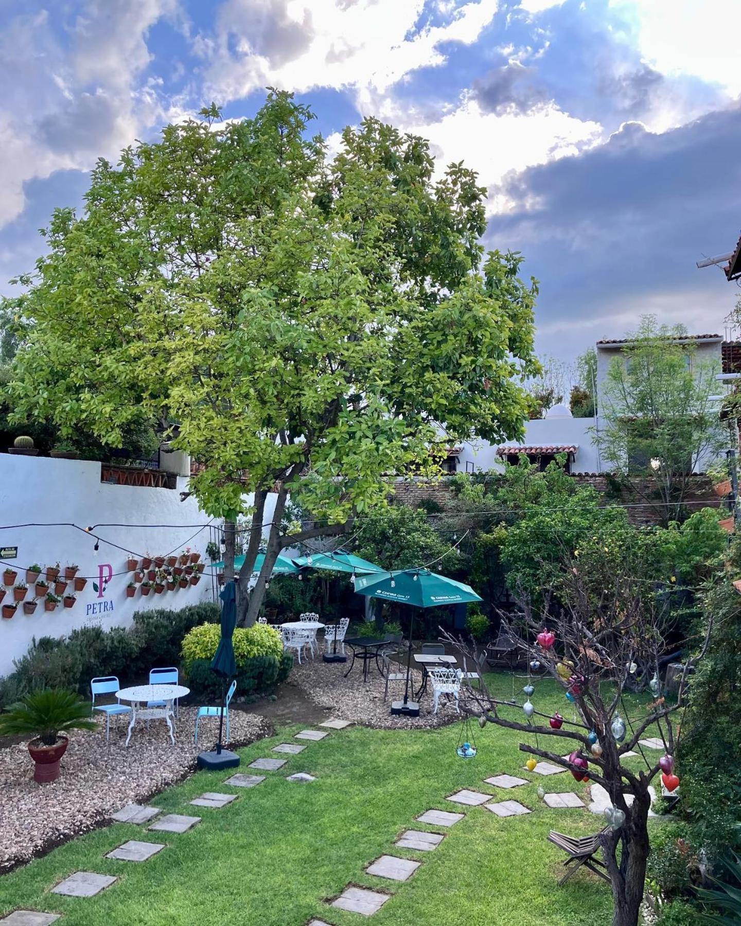 Casona Hotel Petra San Miguel de Allende Exteriör bild